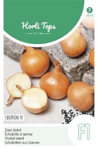 Cibuľa Šalotka Creation F1 cca 0,75 g